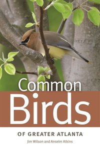 Common Birds of Greater Atlanta (h�ftad)