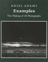 Examples: The Making of 40 Photographs (inbunden)