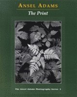 The Print (inbunden)