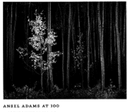 Ansel Adams at 100 (inbunden)