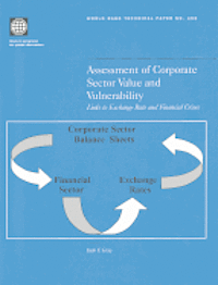 Assessment of Corporate Sector Value and Vulnerability (inbunden)