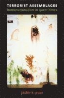 Terrorist Assemblages (h�ftad)