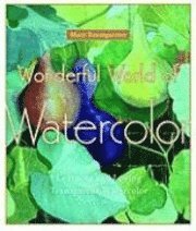Wonderful World of Watercolor (h�ftad)