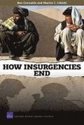 How Insurgencies End