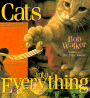 Cats into Everything (h�ftad)