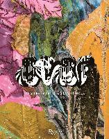 Assume Vivid Astro Focus (inbunden)