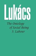 Ontology of Social Being: Pt. 3