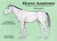 Horse Anatomy (h�ftad)