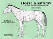 Horse Anatomy (h�ftad)