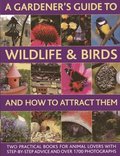 A Gardener's Guide to Wildlife & Birds and How to Attract Them