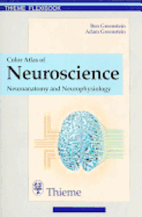 Color Atlas Of Neuroscience ()