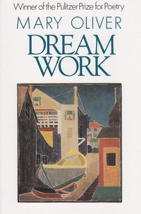 Dream Work (h�ftad)