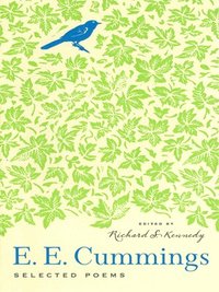 Selected Poems (h�ftad)