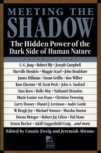 Meeting the Shadow (h�ftad)