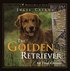 The Golden Retriever - All That Glitters