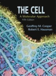 The Cell (inbunden)
