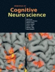 Principles of Cognitive Neuroscience (inbunden)