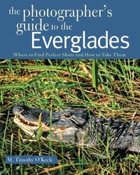 The Photographer's Guide to the Everglades (h�ftad)