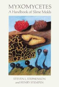 Myxomycetes (h�ftad)