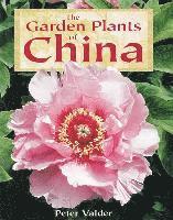 The Garden Plants of China (inbunden)