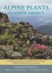 Alpine Plants Of North America (inbunden)