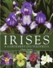 Irises (inbunden)