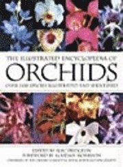 The Illustrated Encyclopedia of Orchids (h�ftad)