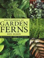 Encyclopedia Of Garden Ferns (inbunden)