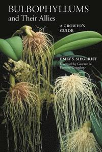 Bulbophyllums And Their Allies (h�ftad)
