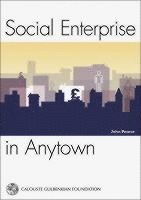 Social Enterprise In Anytown (h�ftad)