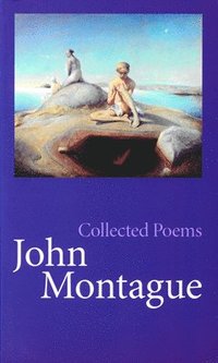 Collected Poems (h�ftad)