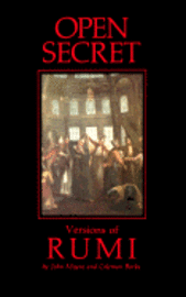 Open Secret (h�ftad)