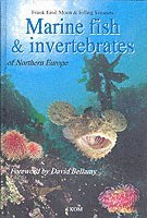 Marine Fish & Invertebrates Of Northern Europe (inbunden)