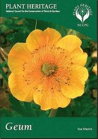 Geum (h�ftad)