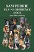 Sam Perrie Trains Obedience Dogs (and Their Owners)
