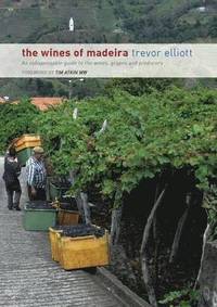 The Wines of Madeira - an Indispensable Guide to the Wines, Grapes and Producers (h�ftad)