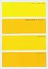 Colors For Modern Fashion