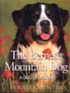 The Bernese Mountain Dog - A Dog of Destiny