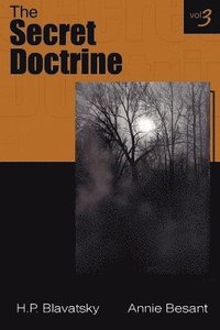 Secret Doctrine Vol Iii (h�ftad)