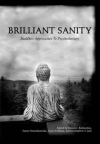 Brilliant Sanity (h�ftad)