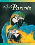 Rainbow Of Parrots