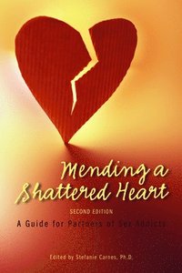 Mending a Shattered Heart (h�ftad)