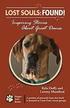 Lost Souls: Found! Inspiring Stories about Great Danes