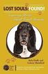 Lost Souls: Found! Inspiring Stories about Basset Hounds