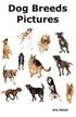 Dog Breeds Pictures - Over 100 Breeds Including Chihuahua, Pug, Bulldog, German Shepherd, Maltese, B