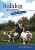 Bulldog Breeding Beginners and Beyond
