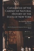 Catalogue of the Cabinet of Natural History of the State of New York