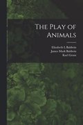 The Play of Animals