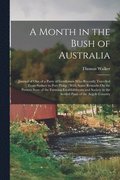 A Month in the Bush of Australia