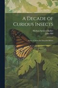 A Decade of Curious Insects